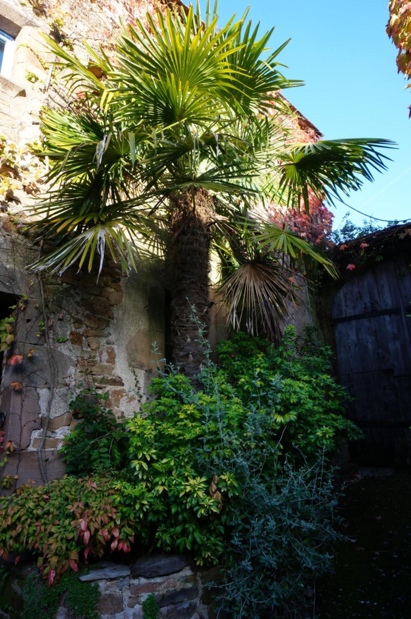 Les Volets Bleus Du Segur Vakantiehuis *