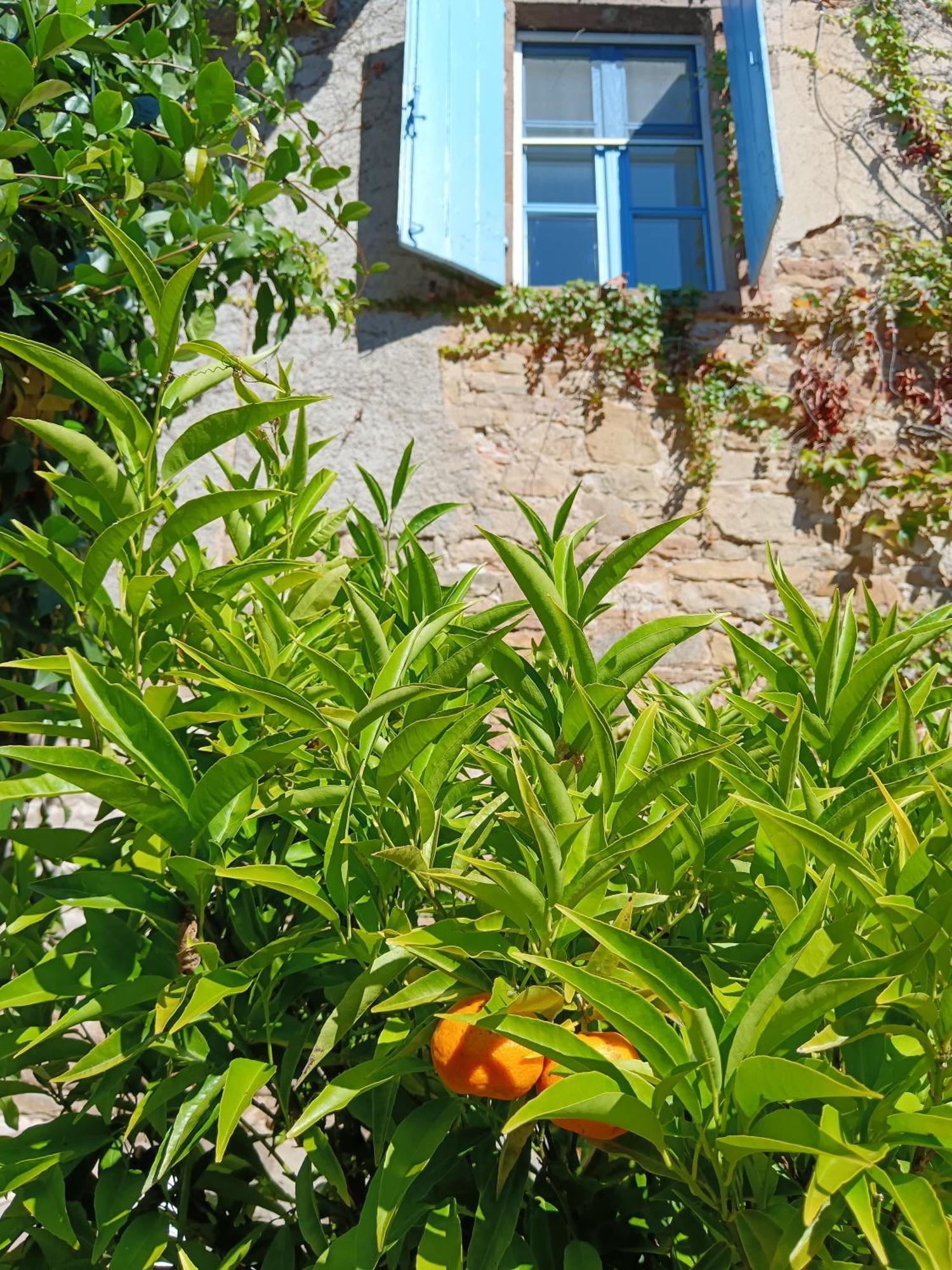 Les Volets Bleus Du Segur Holiday home Le Segur
